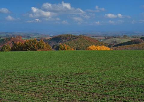 PA301900@