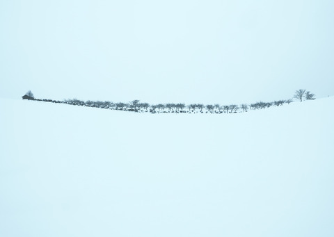 PC262229@