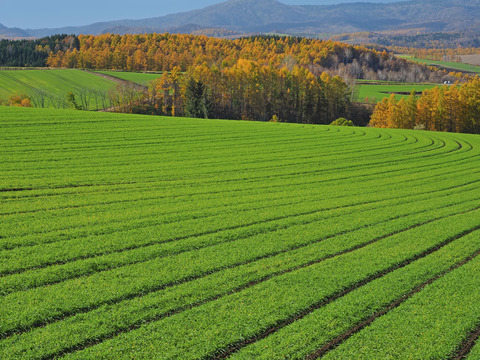 PA311270@
