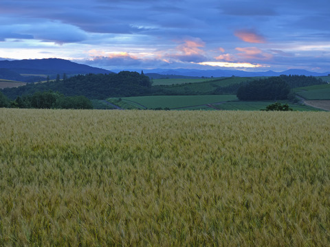 P7240482@
