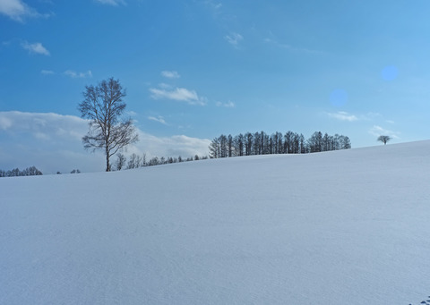 P1231910@