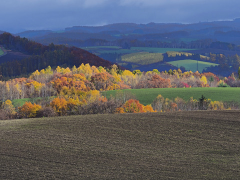 PA300110@