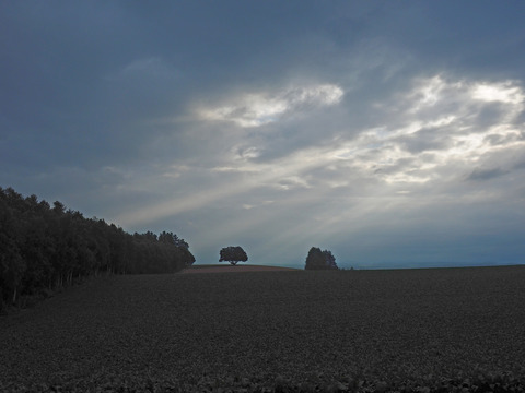 P7270802