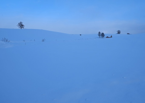 P1290253@
