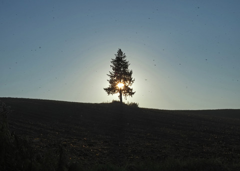 PA301944@