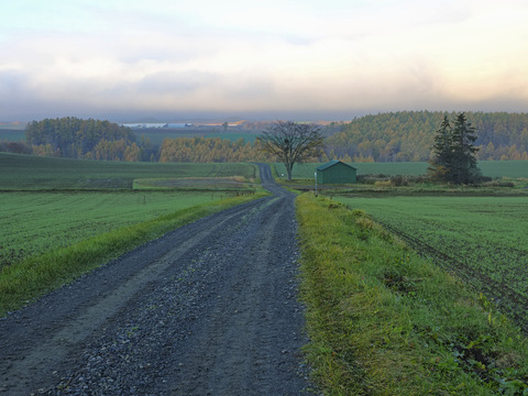 PA311216@