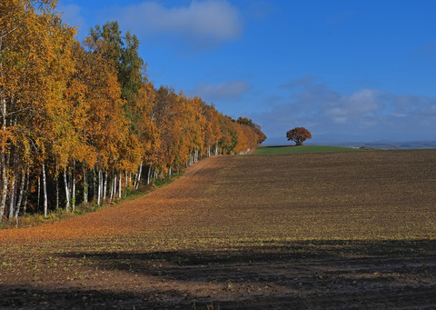 PA301873@
