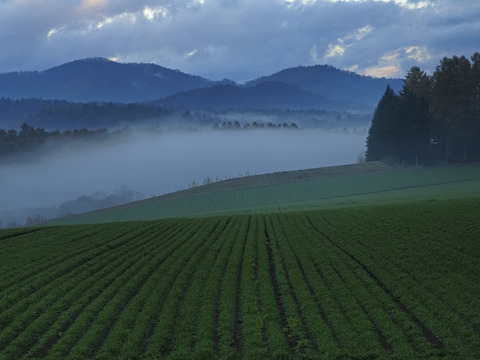 PA290831@