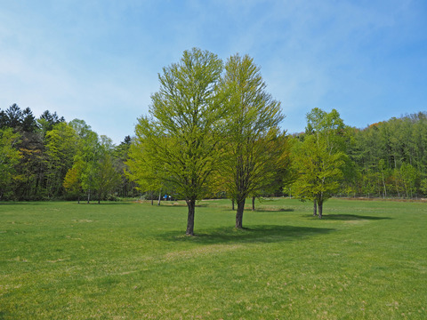 P5080227