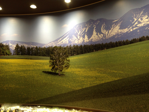 美瑛アンテナショップ_06