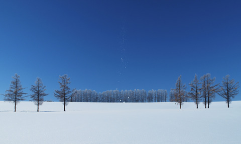 早朝のマイルドセブンの丘