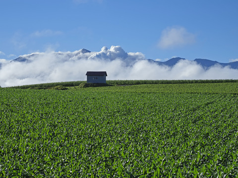 P7250662@
