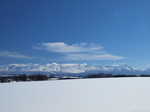 十勝岳連峰