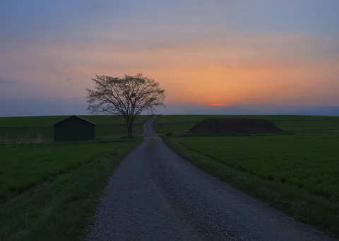P5050412L@