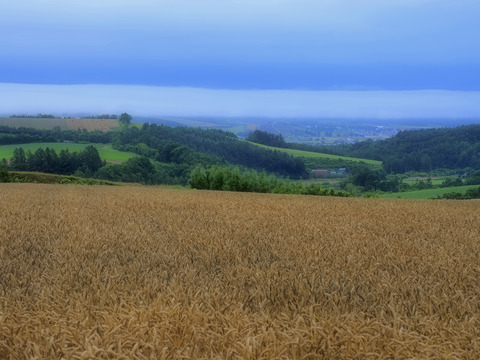 P7240395@