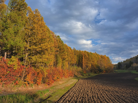 PA280767@