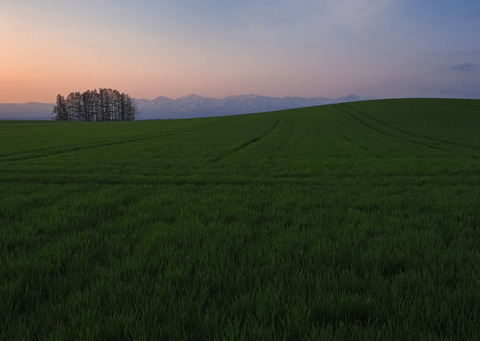 P5050440@