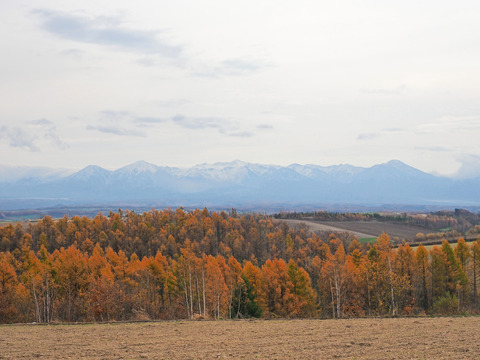PA291079@