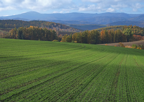 PA301890@