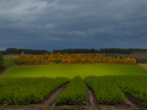 20121021_12