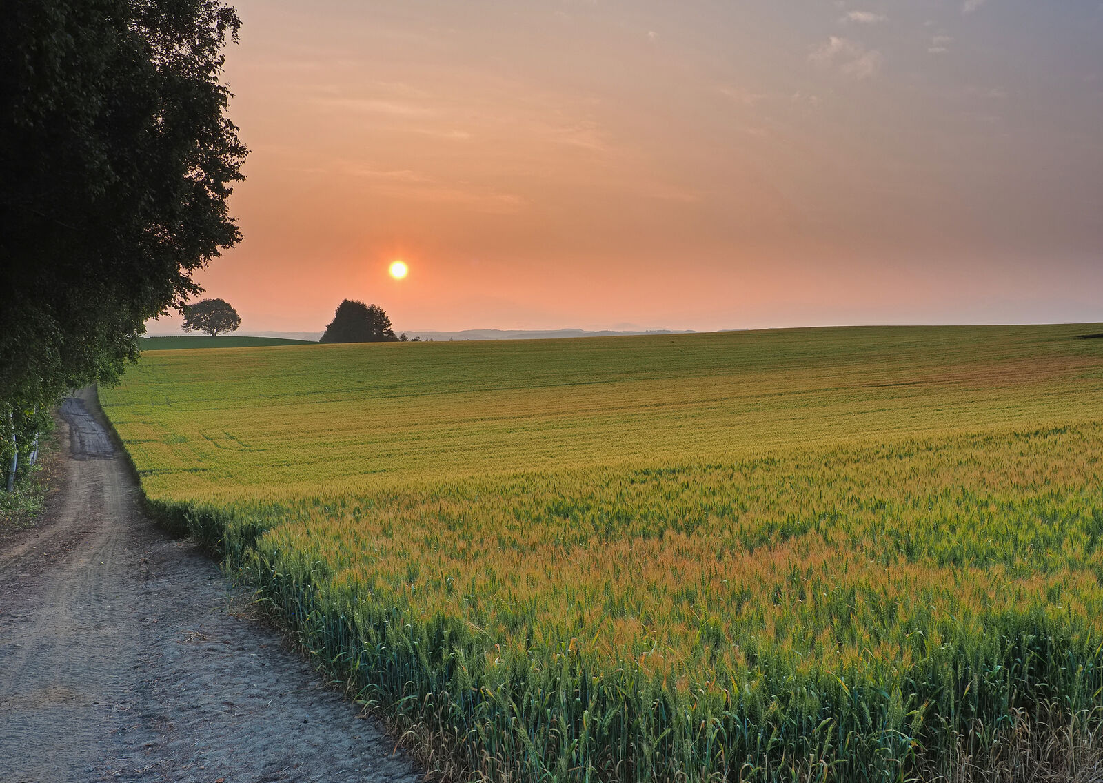丘の旅人 美瑛の丘をめぐる旅 21夏編 ３日目