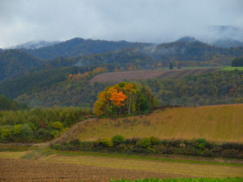 20121022_02