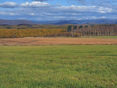 PA290948@