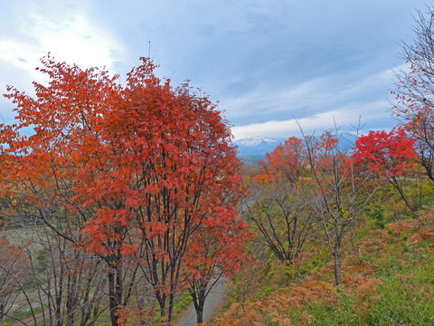 PA171537@