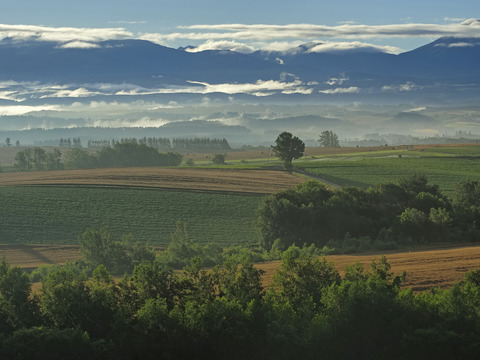P7250642@