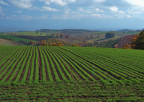 PA301903@