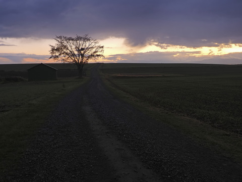 PA290815@