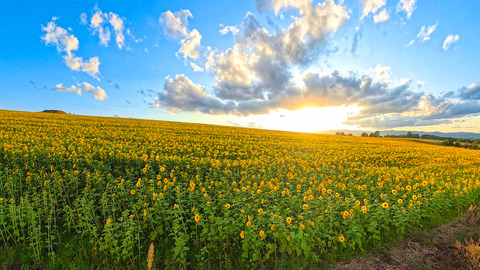 VID_20250922_165249@