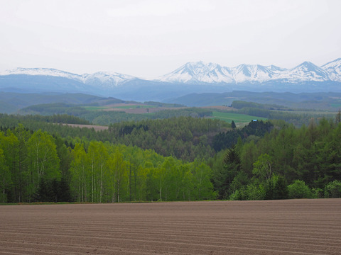 P5080151