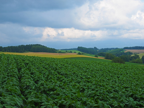 P7270985