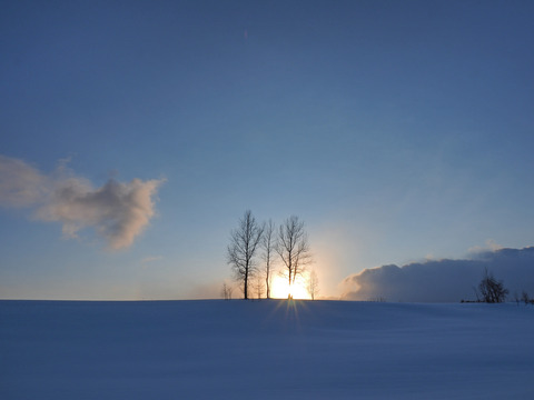 P1200184@