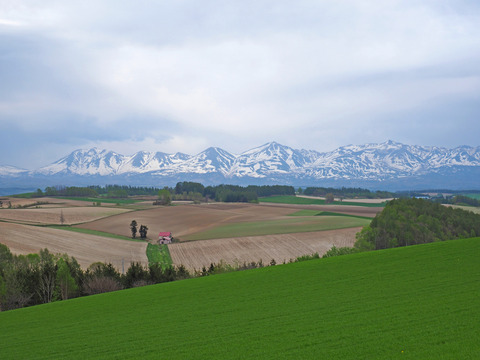P5080353