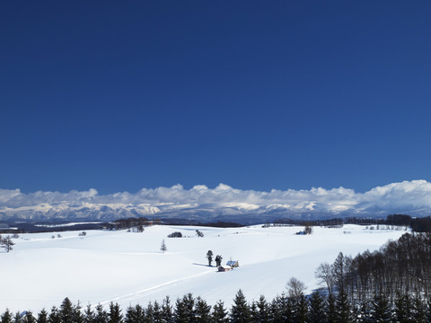 メルヘンの丘 (2)