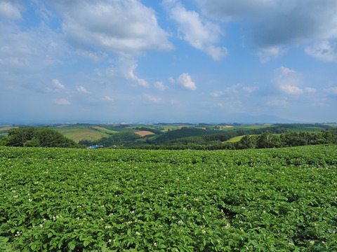 P7230654
