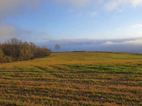 PA311224@