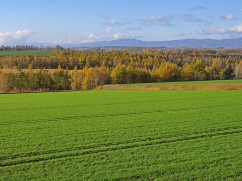 PA290917@