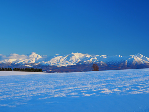 P1120119@
