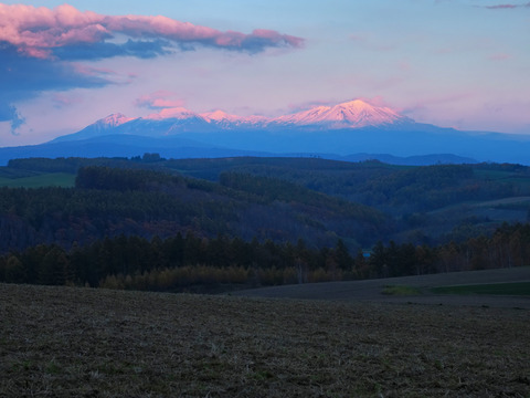 PA280788@