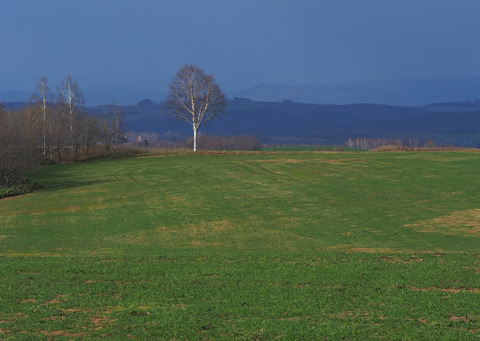 P4130140@