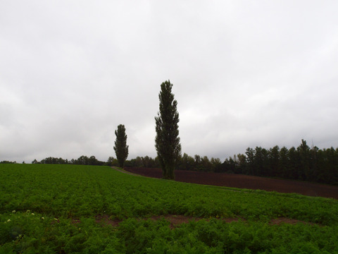 P9114972
