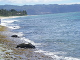 IMGP0499