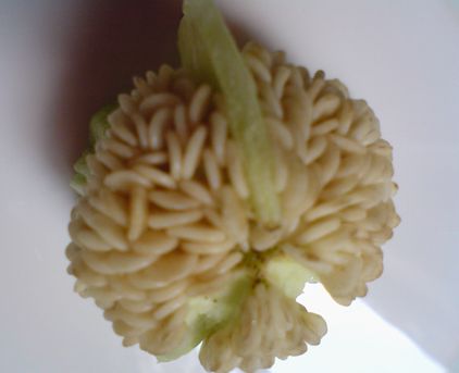 小さい物がビッシリ オカルト速縛