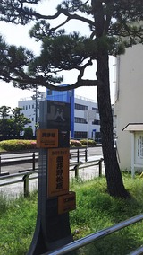 細井野松原跡、松並木の面影はない