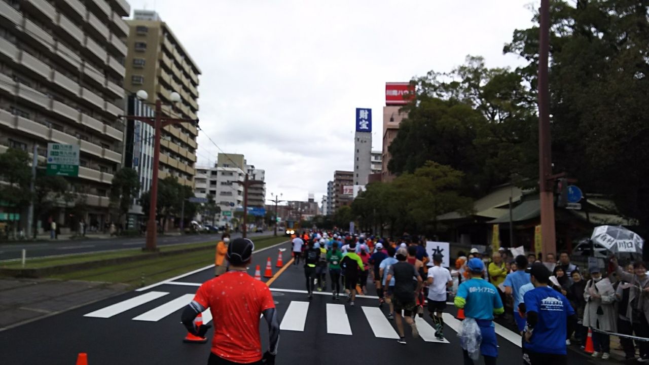 路面電車が走る横を走る