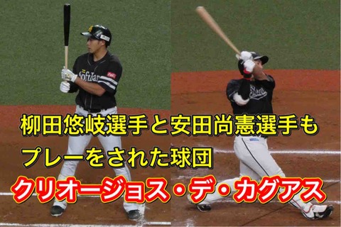 Danke！〜野球の魅力を伝えたい！〜
	  【LBPRC】海外の野球チーム紹介(#5)