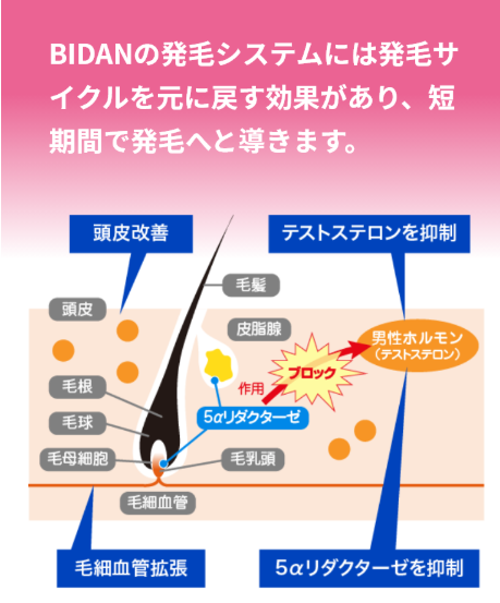 SnapCrab_NoName_2025-12-23_3-10-15_No-00